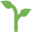 🌱