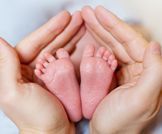 حاسبة تطور الرضيع (حتى عامين)