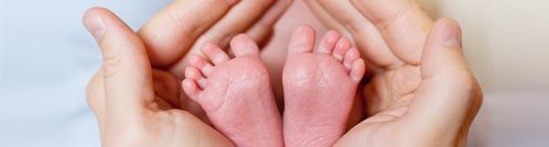 حاسبة تطور الرضيع