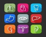 الطب الباطني