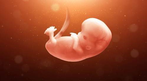 أعراض الأسبوع التاسع من الحمل