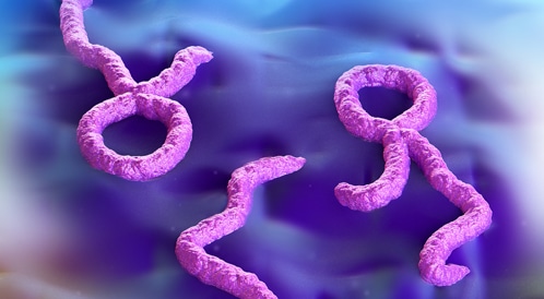 توصيات وقائية في ظل انتشار الإيبولا