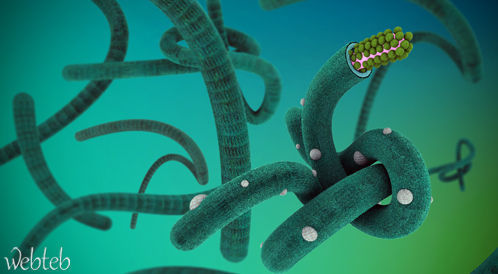 فيروس الايبولا في أمريكا لأول مرة!