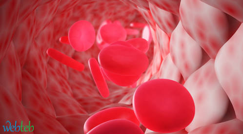 مثبطات PCSK9 توصيات بشأن العلاج المتلائم مع مريض الدسليبيدميا مثبطات PCSK9 توصيات بشأن العلاج المتلائم مع مريض الدسليبيدميا