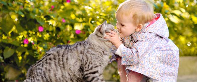 القطط والكلاب قد تقلل من خطر إصابة طفلك بالسمنة