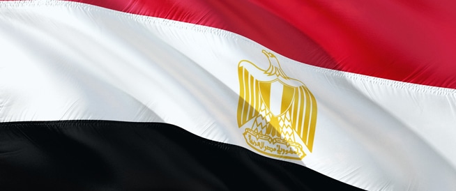 مصر تطلق حملة ضخمة للقضاء على فيروس سي بحلول عام 2020 مصر تطلق حملة ضخمة للقضاء على فيروس سي بحلول عام 2020