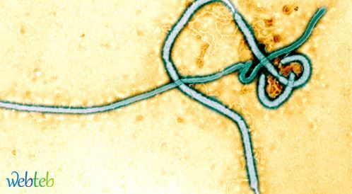 ايبولا يواصل انتشاره بدون علاج أو لقاح