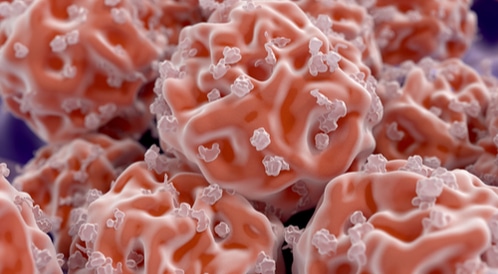الخلايا الجذعية: ما الحقيقة من الخرافة؟