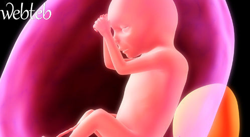 وضعيات الجنين قبل الولادة
