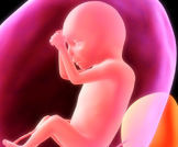 وضعيات الجنين قبل الولادة