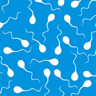 فوائد الدوم الجنسية 