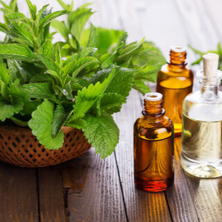 فوائد النعنع