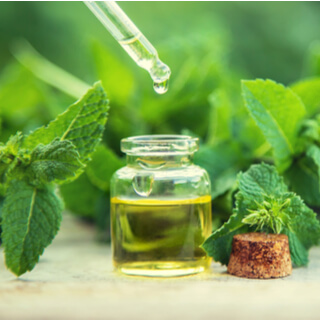 محاذير تناول النعنع