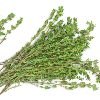 فوائد الزعتر