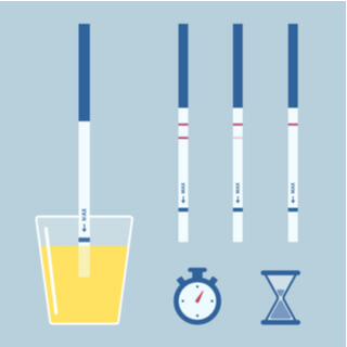 كيفية جمع عينة البول