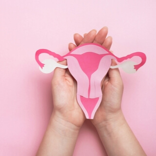 مدة بقاء البويضة بعد النزول من المبيض