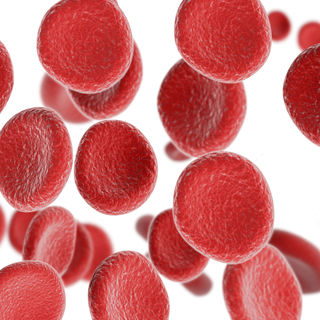 ما هي أهمية الحديد لصحة طفلك؟ ما هي أهمية الحديد لصحة طفلك؟