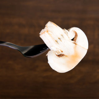 8. الفطر 8. الفطر