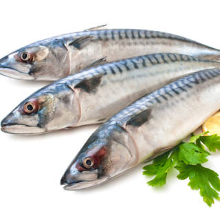 ما هي الأغذية التي على الحامل تجنبها؟