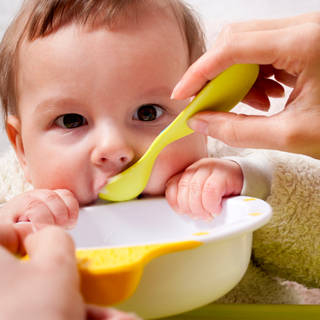 طعام جديد طعام جديد