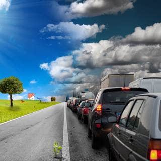 5. سنخدم البيئة