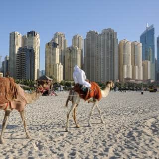 الإمارات العربية المتحدة