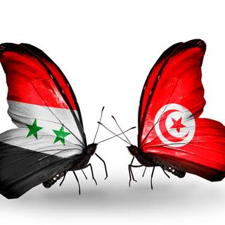 سوريا وتونس