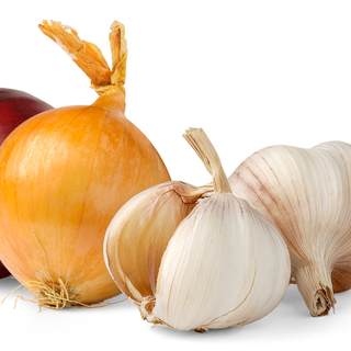 2. الثوم والبصل 2. الثوم والبصل