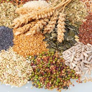 4. الحبوب 4. الحبوب