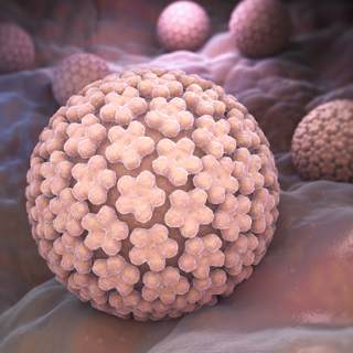 سبب سرطان الرحم الرئيسي