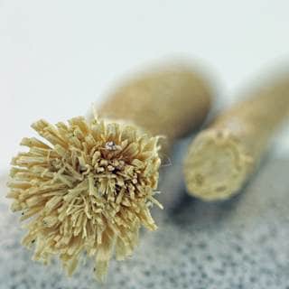 طريقة استخدام المسواك