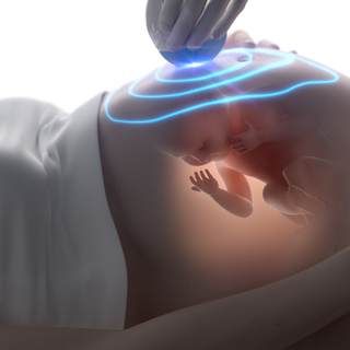 7. حركة الجنين