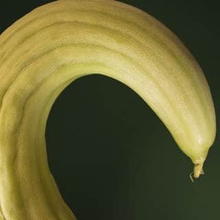 7. أضرار الفقوس