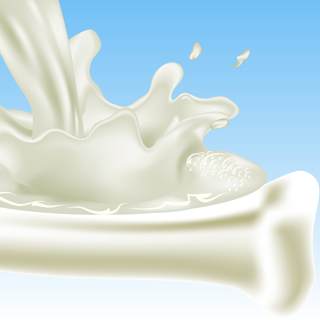 2. يبني العظام