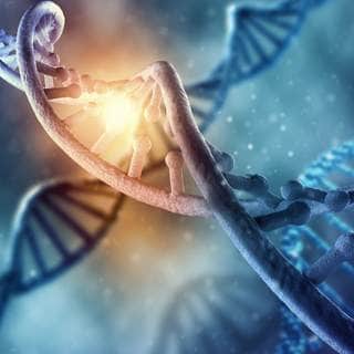 2. احمي الحمض النووي الخاص بك 