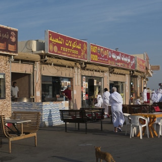 2. مشاكل في الجهاز الهضمي 2. مشاكل في الجهاز الهضمي