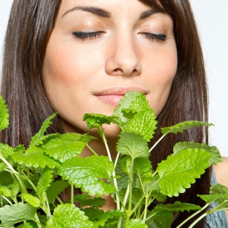 6. اشتم رائحة النعناع