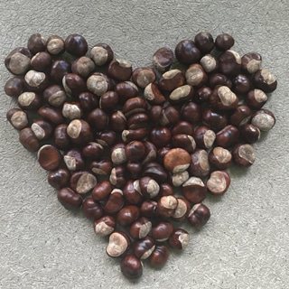 1. تعزز صحة القلب