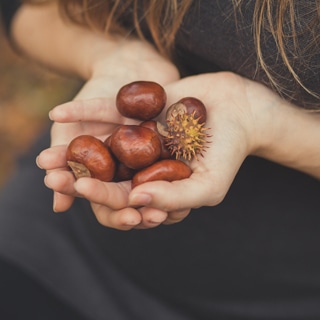 2. تقوي المناعة