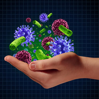 1. يُقوي جهاز المناعة