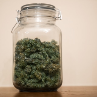 4. أضرار الماريجوانا والحشيش