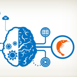 2. يعزز صحة الدماغ 2. يعزز صحة الدماغ