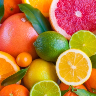 الحمضيات: الشتاء