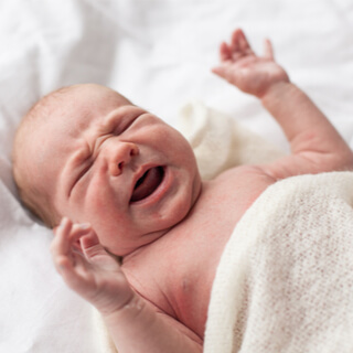 3. الحساسيّة 3. الحساسيّة