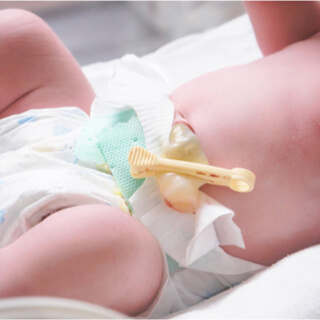 7. مراقبة الجذع السري