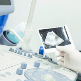 فحوصات الشهر الرابع من الحمل