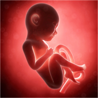 الشهر التاسع من الحمل