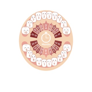 ما هي مرحلة ظهور أسنان الرضع؟