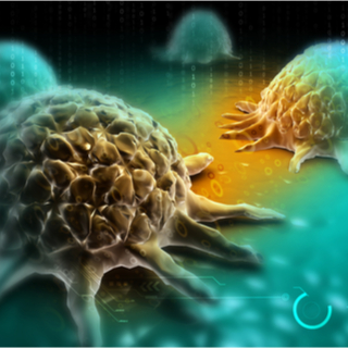 6. انخفاض فرصة الوفاة الناجمة عن السرطان 6. انخفاض فرصة الوفاة الناجمة عن السرطان