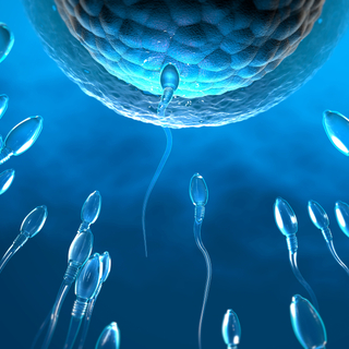 زيادة الهرمونات للتخصيب